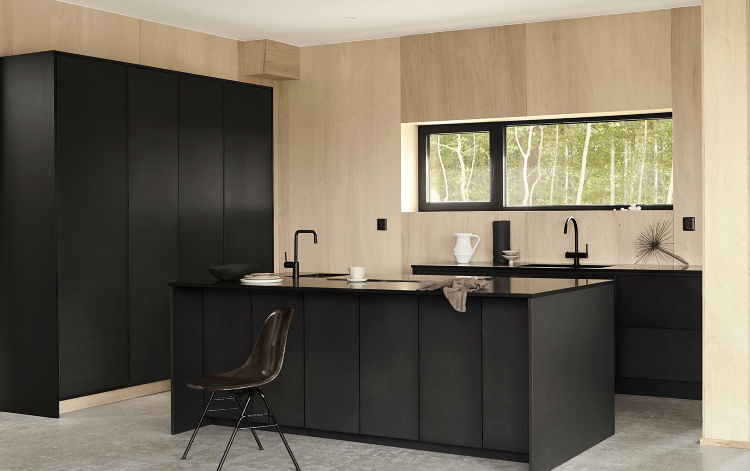 black kitchen cabinets and wood colour scheme